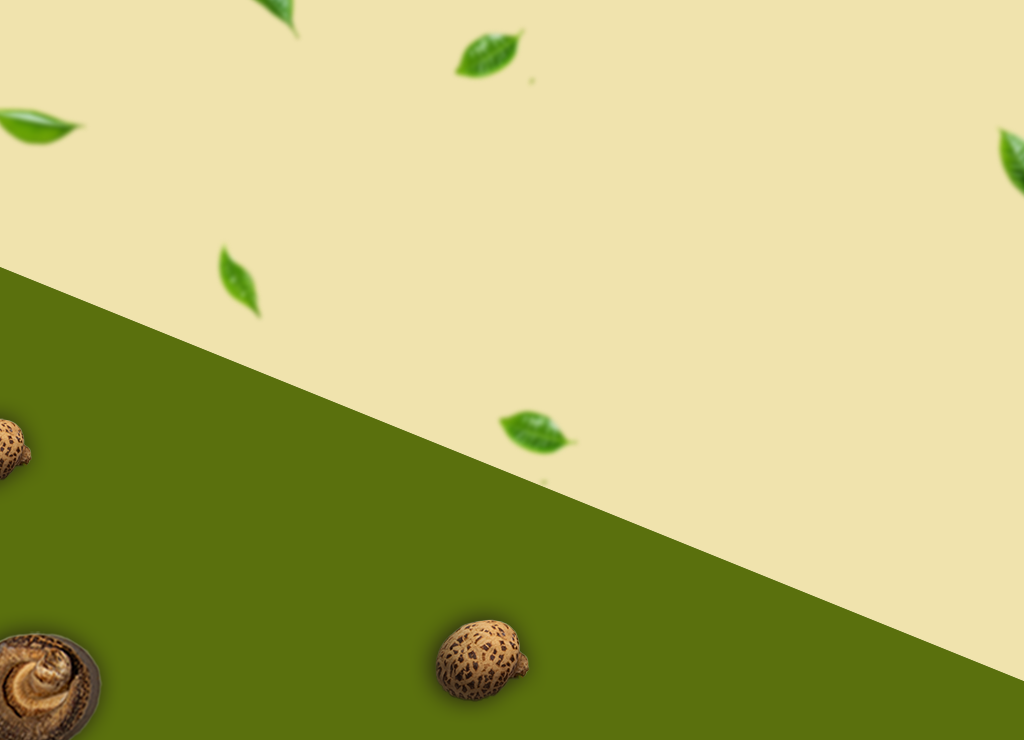 banner website (1)